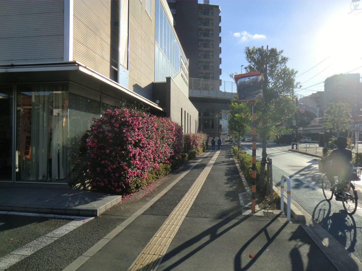 花に囲まれたタクシー会社
