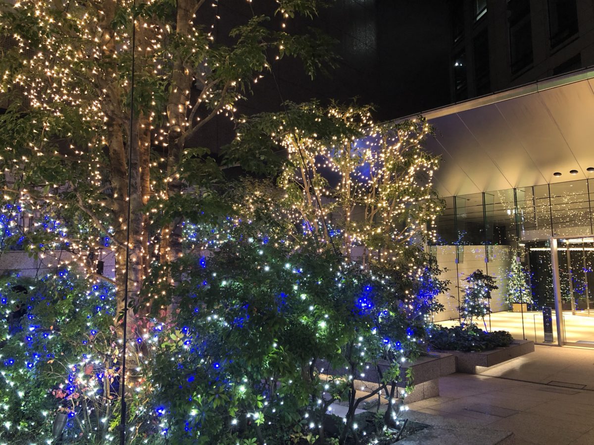 クリスマスシーズン到来