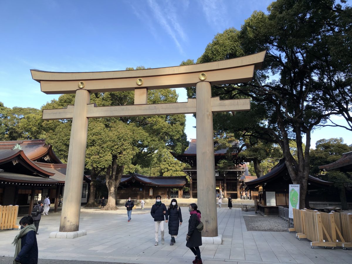明治神宮に行ってきました