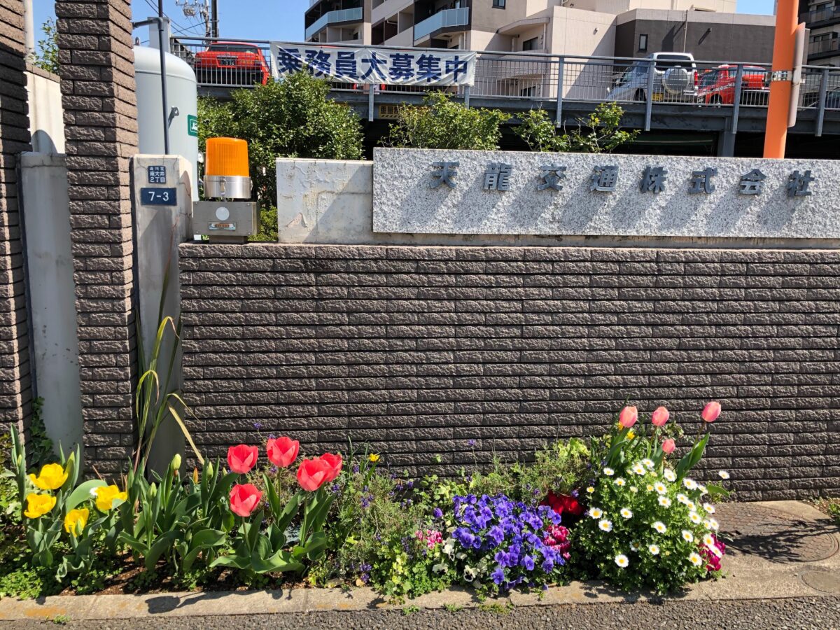 春到来