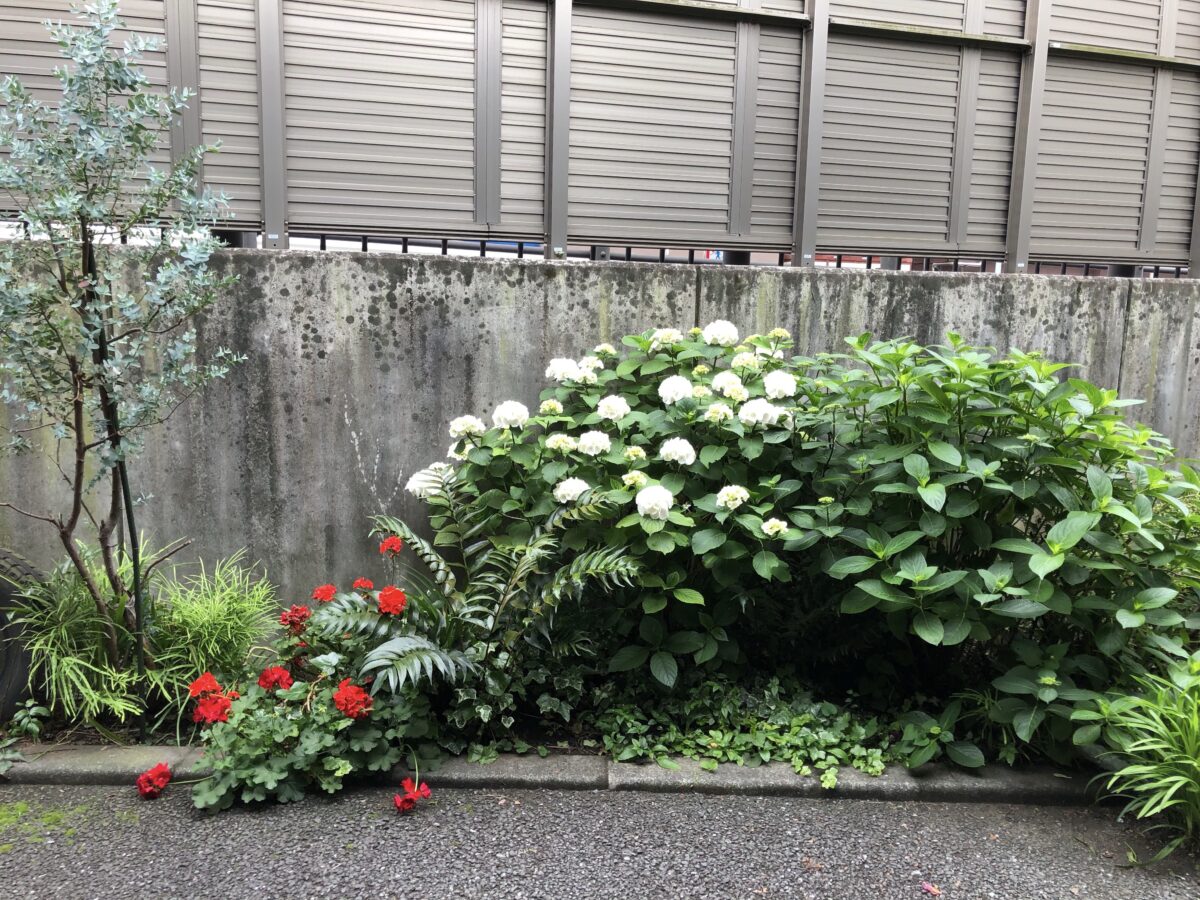 梅雨の季節