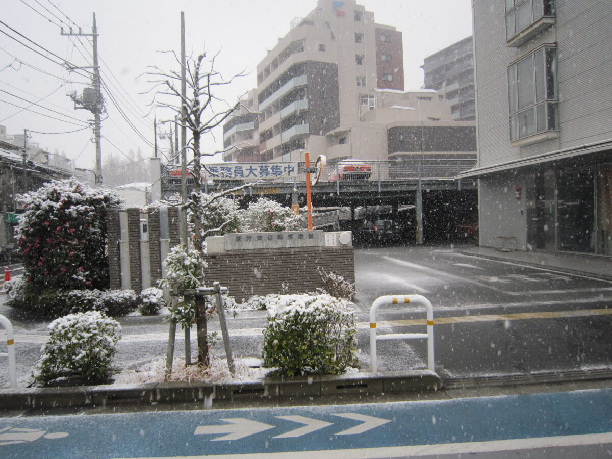 東京では珍しく大雪が降りました
