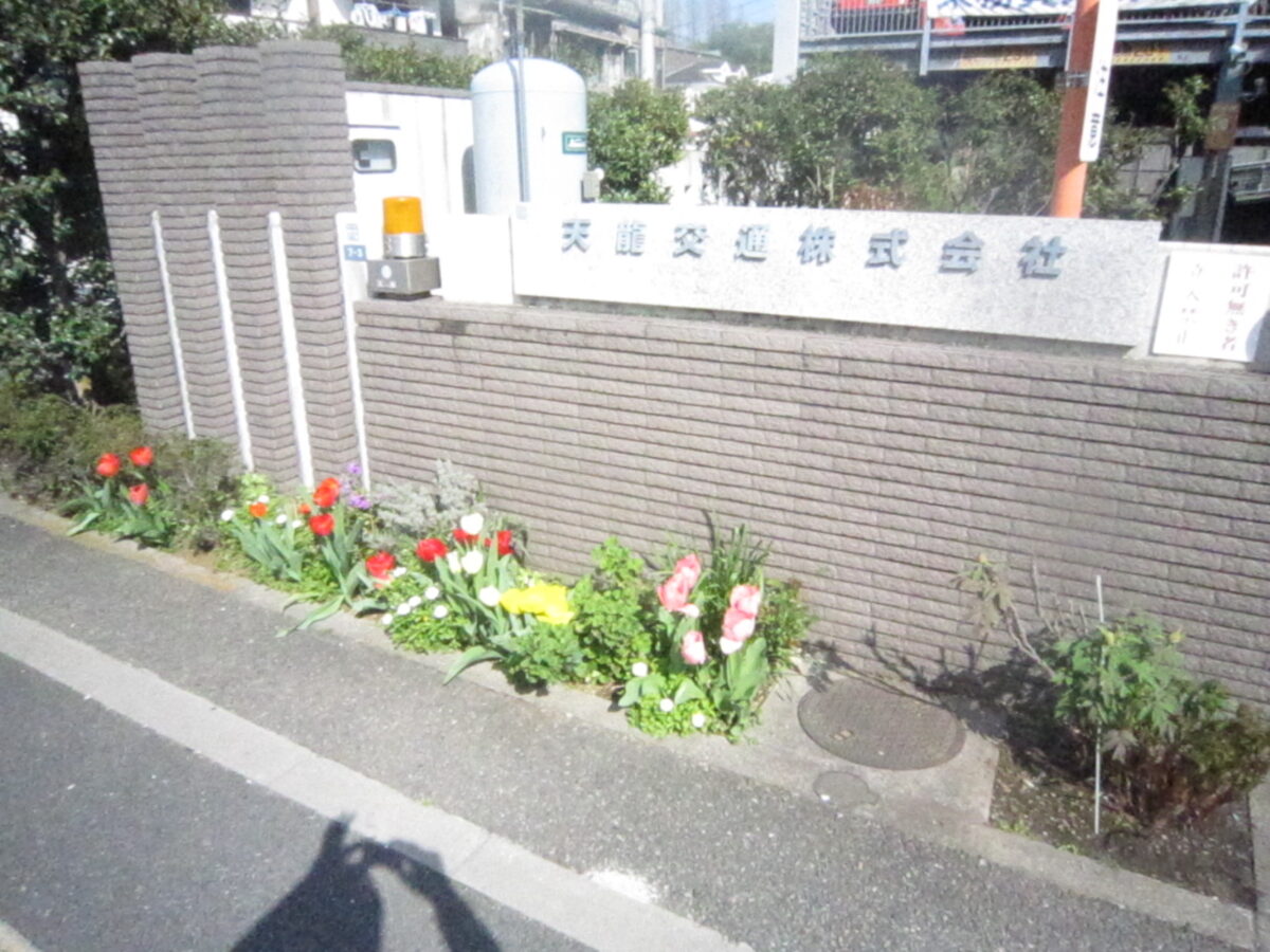 当社に綺麗な花が咲き始めました